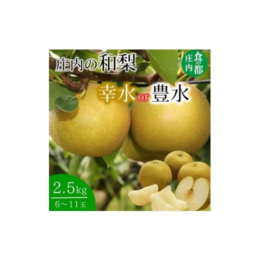 ふるさと納税 梨 山形県 三川町 食の都庄内 庄内の和梨 幸水or豊水 約2.5kg 8月下旬より順次配送