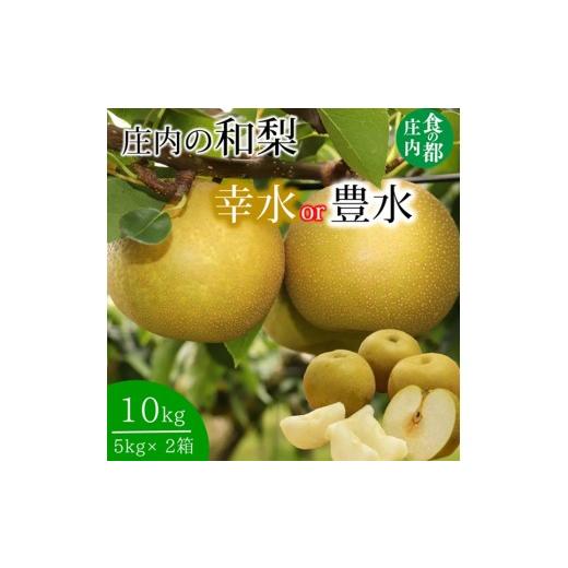 ふるさと納税 梨 山形県 三川町 食の都庄内 庄内の和梨 幸水or豊水 約10kg  8月下旬より順次配送の画像