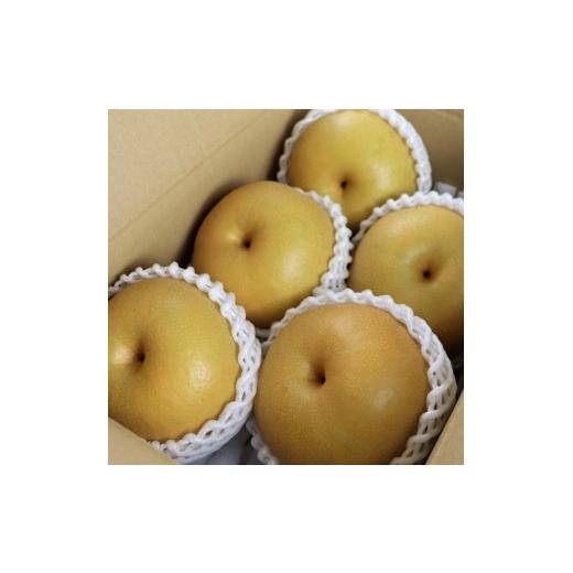 ふるさと納税 梨 山形県 三川町 食の都庄内 庄内の和梨 幸水or豊水 約10kg  8月下旬より順次配送の画像