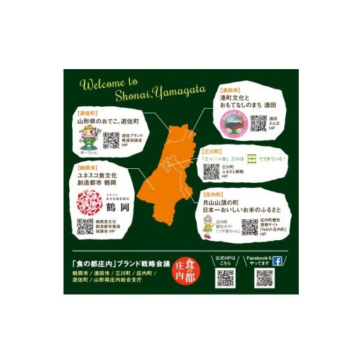 ふるさと納税 梨 山形県 三川町 食の都庄内 庄内の和梨 幸水or豊水 約10kg  8月下旬より順次配送の画像