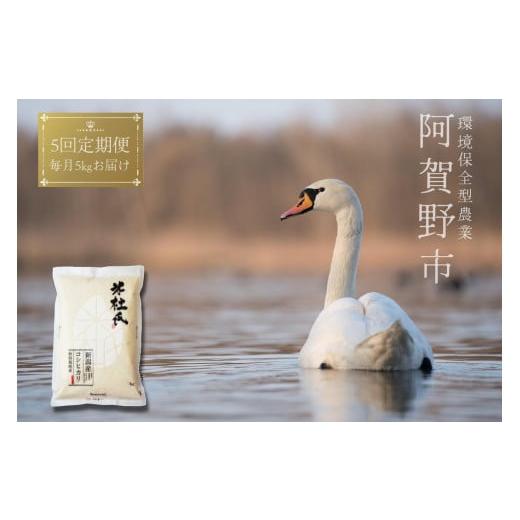 ふるさと納税 米 コシヒカリ 新潟県 阿賀野市 令和7年産新米 新潟産コシヒカリ 5ヶ月定期便 特別栽培米 5kg×5回 米杜氏 壱成 白米 精米 1H04091