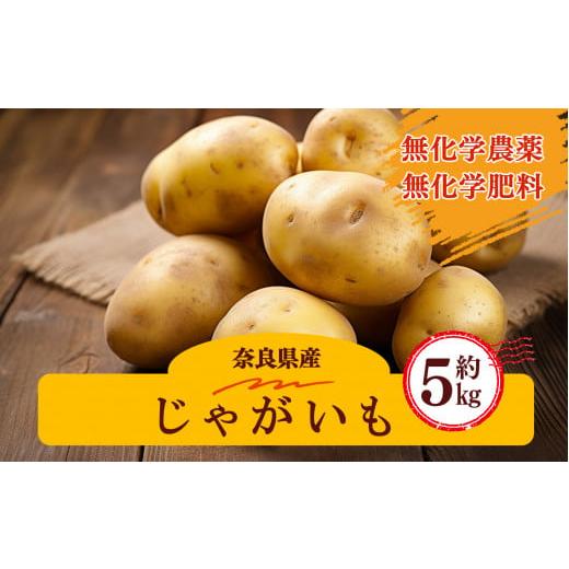 ふるさと納税 野菜類 じゃがいも 奈良県 五條市 生命の農法( 無化学農薬 ・ 無化学肥料栽培 ) じゃがいも ( 5kg )|ヤサイ 野菜 やさい 根菜 いも 芋 イモ…