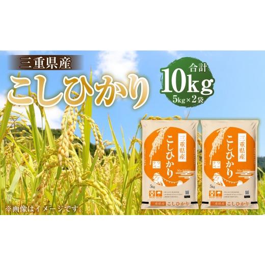 ふるさと納税 米 コシヒカリ 三重県 桑名市 令和7年産 三重県産 