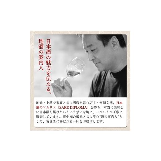 ふるさと納税 日本酒 新潟県 上越市 日本酒 スノーブルー雪蒼 八恵久比岐 雪中梅 かたふね 720ml 6本 仕かける お酒 おすすめ 酒 ふるさと納税 新潟 新潟県産 に…