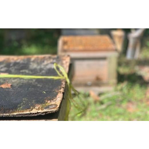 ふるさと納税 加工品等 はちみつ 岐阜県 恵那市 恵那蜂蜜 3本 ギフト箱入りセット (百花蜂蜜300g×1本、栗蜂蜜300g×2本) ／ はちみつ 国産 百花蜂蜜 栗蜂蜜 …の画像