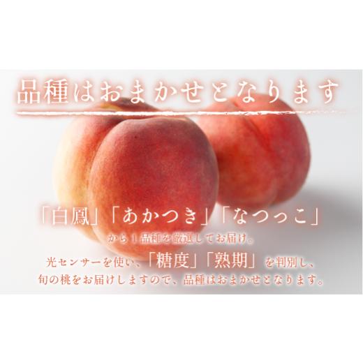 ふるさと納税 もも 長野県 飯綱町  2026年 先行予約 桃 3kg 秀品 訳あり 《 品種おまかせ「 白鳳 」「 あかつき 」「 なつっこ 」いずれか1品種 》 光センサー…の画像