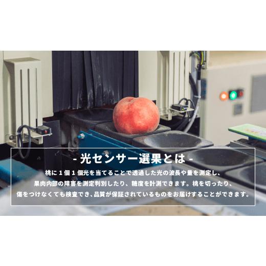 ふるさと納税 もも 長野県 飯綱町  2026年 先行予約 桃 3kg 秀品 訳あり 《 品種おまかせ「 白鳳 」「 あかつき 」「 なつっこ 」いずれか1品種 》 光センサー…の画像