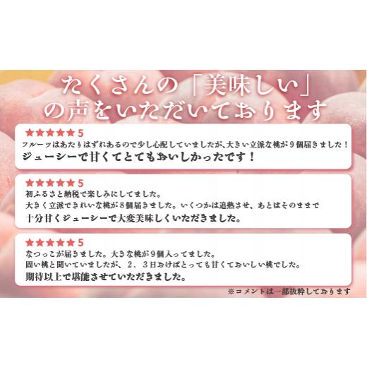 ふるさと納税 もも 長野県 飯綱町  2026年 先行予約 桃 3kg 秀品 訳あり 《 品種おまかせ「 白鳳 」「 あかつき 」「 なつっこ 」いずれか1品種 》 光センサー…の画像