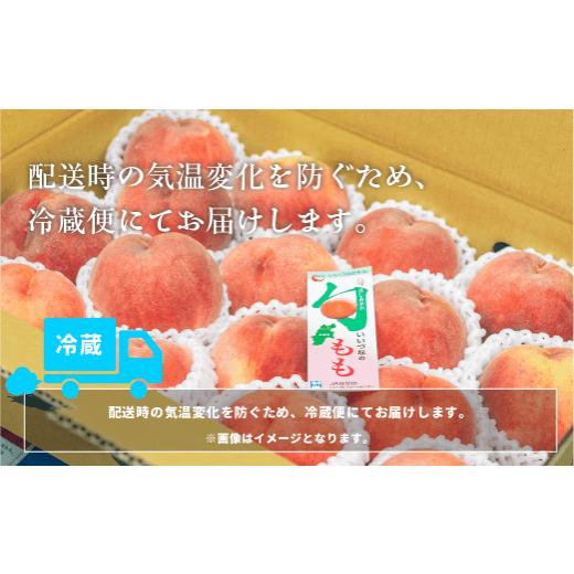 ふるさと納税 もも 長野県 飯綱町  2026年 先行予約 桃 3kg 秀品 訳あり 《 品種おまかせ「 白鳳 」「 あかつき 」「 なつっこ 」いずれか1品種 》 光センサー…の画像