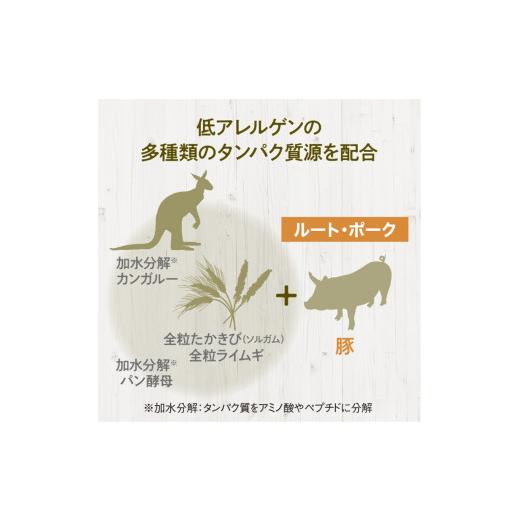 ふるさと納税 大阪府 門真市  ドライドッグフード ルート・ポーク 小粒 1.5kg【ペット 犬 ペットフード 全年齢対応 小型犬 成犬 老犬 超小型犬 カンガルー ド…｜furusatochoice｜04