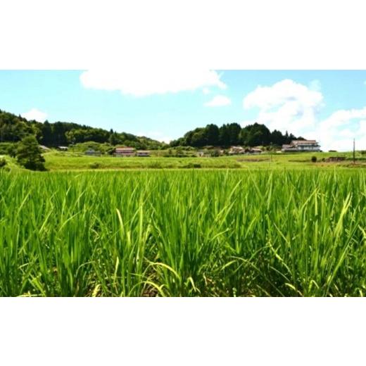 ふるさと納税 日本酒 純米酒 広島県 三原市 OKITA9241 無濾過生原酒と原酒一度火入れセット011005の画像