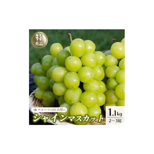 ふるさと納税 ぶどう マスカット 山梨県 笛吹市 2026年発送 先行予約 シャインマスカット 1.1kg以上 2房〜3房 154-008 | フルーツ 果物 高評価 人気 ランキン…