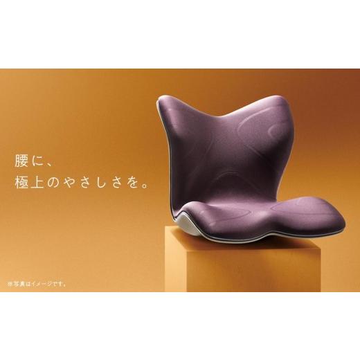 ふるさと納税 雑貨・日用品 愛知県 名古屋市 Style PREMIUM ブラック | スタイルプレミアム 骨盤 椅子 座椅子 姿勢サポート 姿勢矯正 健康グッズ 人気 おすす…_2