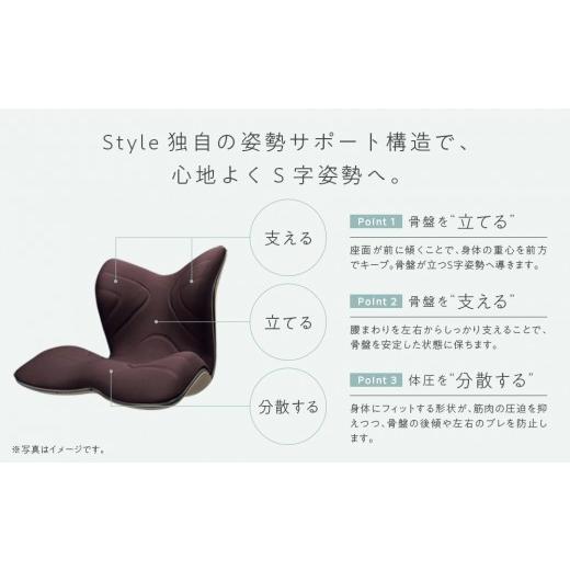 ふるさと納税 雑貨・日用品 愛知県 名古屋市 Style PREMIUM ブラック | スタイルプレミアム 骨盤 椅子 座椅子 姿勢サポート 姿勢矯正 健康グッズ 人気 おすす…_4