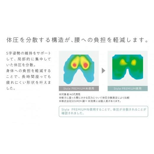 ふるさと納税 雑貨・日用品 愛知県 名古屋市 Style PREMIUM ブラック | スタイルプレミアム 骨盤 椅子 座椅子 姿勢サポート 姿勢矯正 健康グッズ 人気 おすす…_5