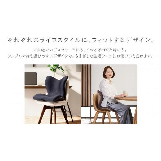 ふるさと納税 雑貨・日用品 愛知県 名古屋市 Style PREMIUM ブラック | スタイルプレミアム 骨盤 椅子 座椅子 姿勢サポート 姿勢矯正 健康グッズ 人気 おすす…_7