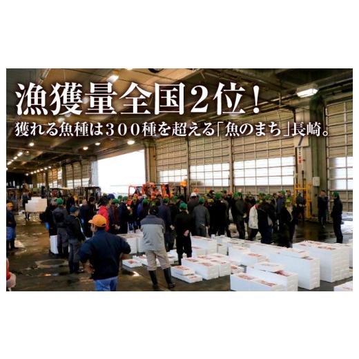 ふるさと納税 干物 アジ 長崎県 佐世保市 A277b 《定期便》丸富の干物頒布会「松竹梅」 6回お届け きんめだい あじ かます カサゴ サバ ひものの画像