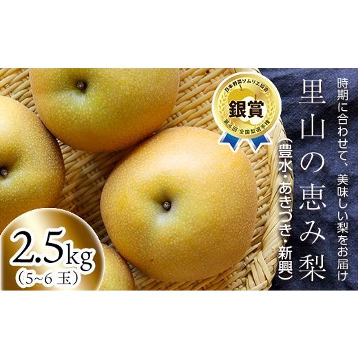 ふるさと納税 梨 熊本県 球磨村 FKP9-717 先行予約 里山の恵み梨(約2.5kg)