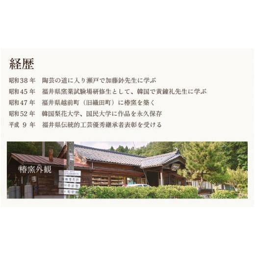 ふるさと納税 陶磁器・漆器・ガラス 福井県 越前町 e45-n001 越前焼 椿窯 越前青磁花入 桐箱入り 花器 はないれ おしゃれ インテリア 伝統工芸品 陶器 陶磁器…_6