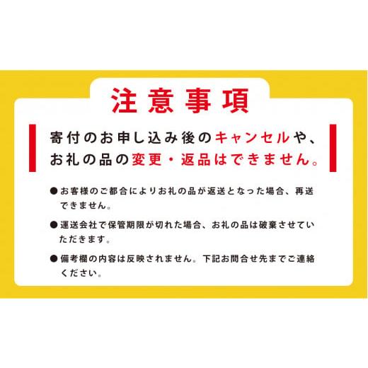 ふるさと納税 北海道 湧別町 【国内消費拡大求む】[No.5930-0248]<先行予約2024年11月から発送>北海道サロマ湖産　カキ約4.7kg　牡蠣　かき　海鮮　魚介…｜furusatochoice｜10