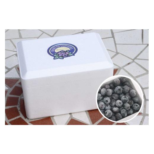 ふるさと納税 果物類 長野県 長野市 長野市産「森のサファイア」冷凍ブルーベリー(Mサイズ)500gスチロールパック