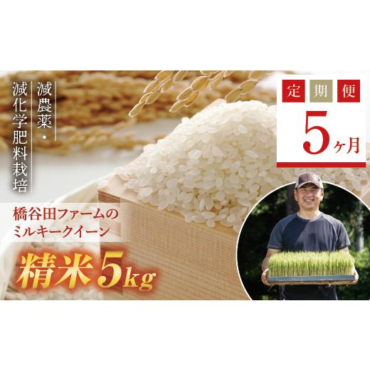 ふるさと納税 米 ミルキークイーン 福島県 西会津町 《定期便5ヶ月》 先行予約 令和8年産米 減農薬・減化学肥料栽培 西会津産米 ミルキークイーン 精米 5kg 米…の画像