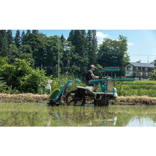 ふるさと納税 米 ミルキークイーン 福島県 西会津町 《定期便5ヶ月》 先行予約 令和8年産米 減農薬・減化学肥料栽培 西会津産米 ミルキークイーン 精米 5kg 米…の画像