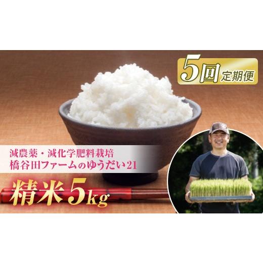 ふるさと納税 米 福島県 西会津町 《定期便5ヶ月》令和8年産米 減農薬・減化学肥料栽培 西会津産米 ゆうだい21 精米 5kg 米 お米 おこめ ご飯 ごはん 福島県 …の画像