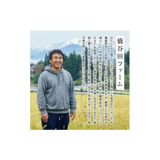 ふるさと納税 米 福島県 西会津町 《定期便5ヶ月》令和8年産米 減農薬・減化学肥料栽培 西会津産米 ゆうだい21 精米 5kg 米 お米 おこめ ご飯 ごはん 福島県 …の画像