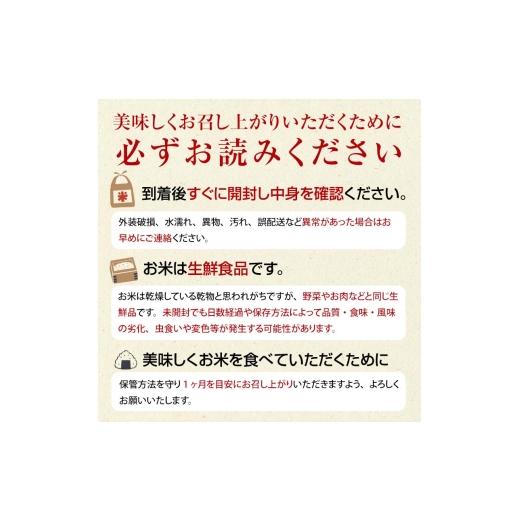ふるさと納税 米 福島県 西会津町 《定期便5ヶ月》令和8年産米 減農薬・減化学肥料栽培 西会津産米 ゆうだい21 精米 5kg 米 お米 おこめ ご飯 ごはん 福島県 …の画像