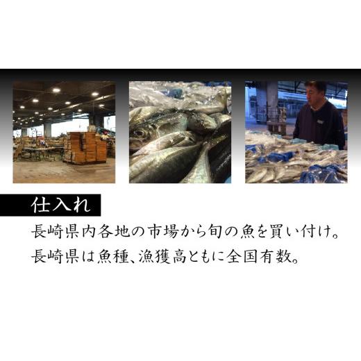 ふるさと納税 干物 長崎県 佐世保市 A255p 《定期便》極上ひもの「雅」津田水産 12回お届け イカ アジ かます あま鯛 干物 塩干しの画像