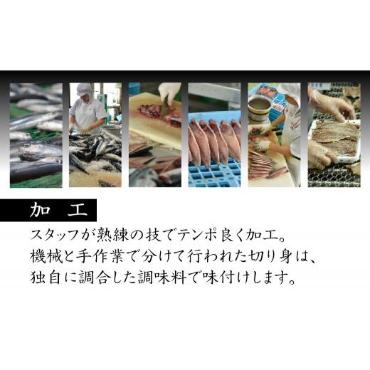 ふるさと納税 干物 長崎県 佐世保市 A255p 《定期便》極上ひもの「雅」津田水産 12回お届け イカ アジ かます あま鯛 干物 塩干しの画像