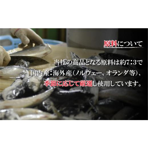 ふるさと納税 干物 長崎県 佐世保市 A255p 《定期便》極上ひもの「雅」津田水産 12回お届け イカ アジ かます あま鯛 干物 塩干しの画像