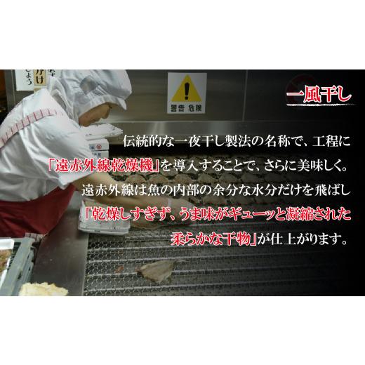ふるさと納税 干物 長崎県 佐世保市 A255p 《定期便》極上ひもの「雅」津田水産 12回お届け イカ アジ かます あま鯛 干物 塩干しの画像