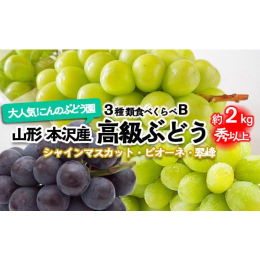 ふるさと納税 ぶどう マスカット 山形県 山形市 大人気 こんのぶどう園 山形本沢産 高級ぶどう 3種食べくらべB 秀以上 約2kg 令和8年産先行予約 FU22-338 くだ…