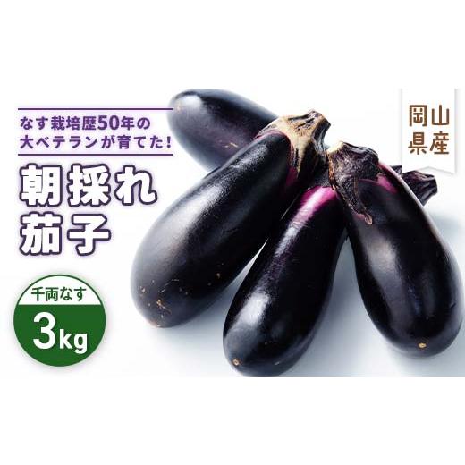 ふるさと納税 野菜類 茄子 岡山県 津山市 2026年7月以降発送 なす栽培歴50年の大ベテランが育てた『朝採れ茄子』 3kg_千両なす ナス なす 茄子 千両茄子 野…