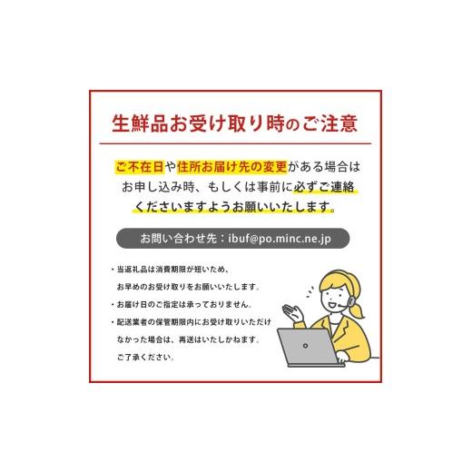 ふるさと納税 和菓子 和菓子セット・詰め合わせ 鹿児島県 指宿市  鹿児島の郷土菓子専門店 人気の詰め合せBセット(まるや食品／IB033-006) 菓子 和菓子 あくま…の画像