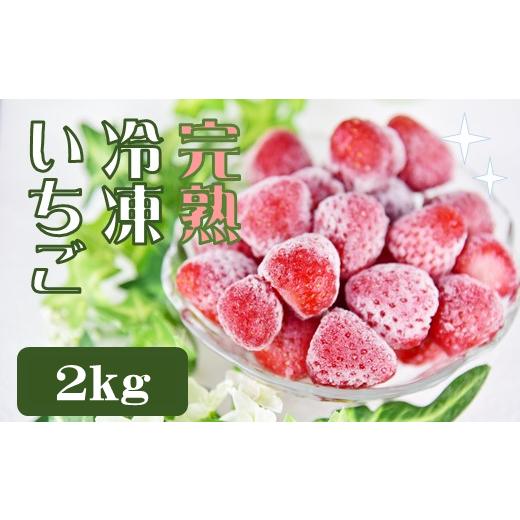ふるさと納税 いちご 静岡県 南伊豆町 先行予約_2026年出荷分 特別賞受賞 完熟冷凍いちご 2kg いちご 果物 フルーツ 苺 イチゴ 冷凍 果物 フローズン くだも…