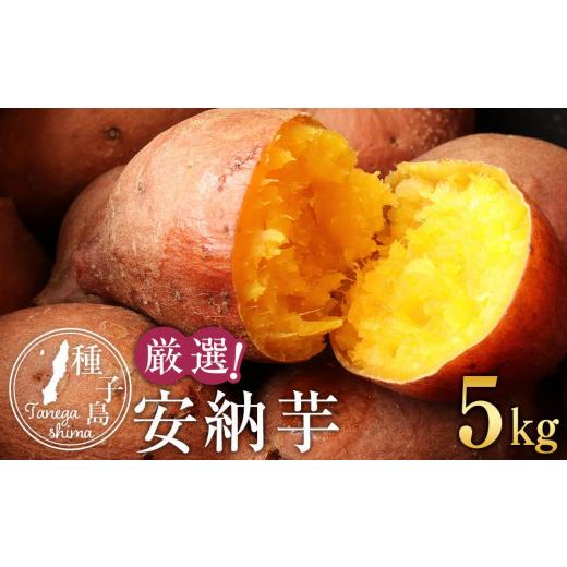 ふるさと納税 野菜類 サツマイモ 鹿児島県 中種子町 厳選 本場種子島産安納芋5kg 安納芋 安納いも 焼き芋 焼芋 やきいも さつまいも スイーツ デザート おや…