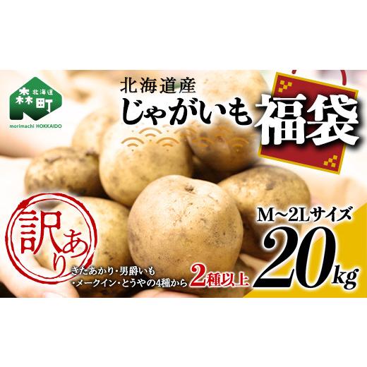 ふるさと納税 野菜類 じゃがいも 北海道 森町 訳あり 北海道森町産