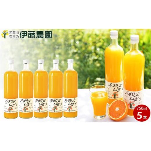 ふるさと納税 果汁飲料 みかん 和歌山県 有田市 伊藤農園 100%ピュアジュース 不知火しぼり 大瓶5本セット(A608-3)