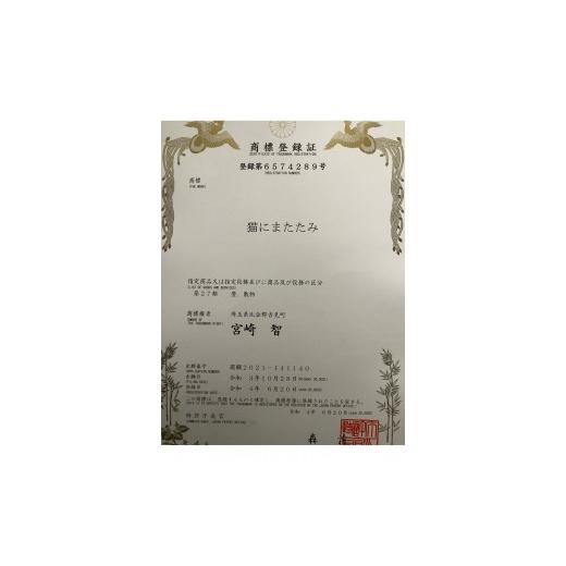 ふるさと納税 伝統技術 埼玉県 吉見町 一級技能士が作るインテリア畳「猫にまたたみ」_3