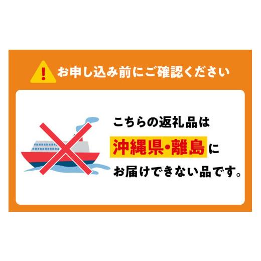 ふるさと納税 雑貨・日用品 大阪府 吹田市 FLASH iPhoneケース  オリジナルデザイン 大阪府吹田市の画像