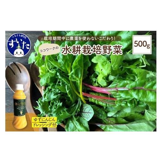 ふるさと納税 野菜類 加工品 大阪府 吹田市 ココワークの水耕栽培野菜 約500g ゆず人参ドレッシング セット 栽培期間中 農薬不使用 大阪府吹田市 A:寄付金額 …
