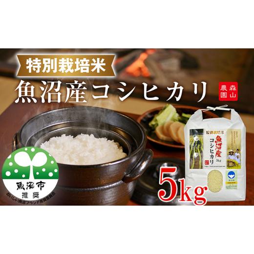 ふるさと納税 米 コシヒカリ 新潟県 魚沼市   令和8年産 先行受付 森山農園 特別栽培米 魚沼産コシヒカリ(新潟県認証)5kg お米