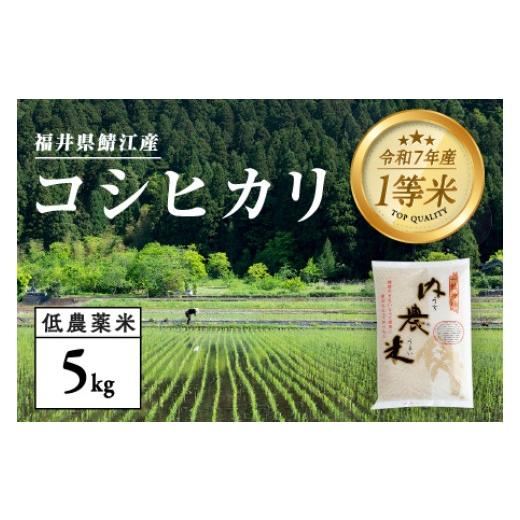 ふるさと納税 米 コシヒカリ 福井県 鯖江市 令和7年産 新米 福井県産 内農米 コシヒカリ 5kg B-00552 / こしひかり 白米 精米 ご飯 コメ ごはん ライス 有…