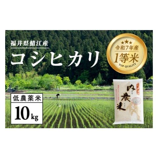 ふるさと納税 米 コシヒカリ 福井県 鯖江市 令和7年産 新米 福井県産 内農米 コシヒカリ 10kg C-00514 / こしひかり 有機栽培 白米 精米 ご飯 コメ ごはん…