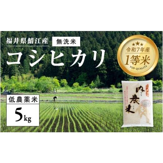 ふるさと納税 米 コシヒカリ 福井県 鯖江市 令和7年産 新米 福井県産 内農米 コシヒカリ 無洗米 5kg B-00553 / こしひかり 有機栽培 白米 新米 白米 精米 ご…