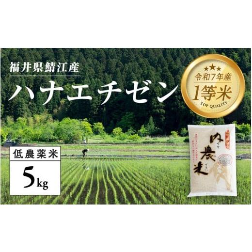ふるさと納税 米 福井県 鯖江市 令和7年産新米 福井県産 内農米ハナエチゼン 5kg [B-00554] / ハナエチゼン 減農薬米 有機栽培 白米 新米 白米 精米 ご飯 …