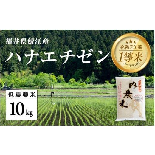 ふるさと納税 米 福井県 鯖江市 令和7年産新米 福井県産 内農米ハナエチゼン 10kg [C-00516] / ハナエチゼン 減農薬米 有機栽培 白米 新米 白米 精米 ご飯…